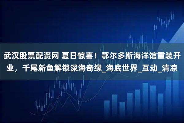 武汉股票配资网 夏日惊喜！鄂尔多斯海洋馆重装开业，千尾新鱼解锁深海奇缘_海底世界_互动_清凉